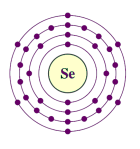 Selenium diagram courtesy of wikimedia commons